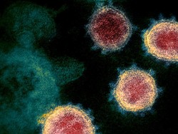 Uni Eropa Desak Pembatasan Penggunaan Obat Malaria Untuk Obati COVID-19