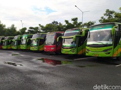 Dihantam Corona, Pengusaha Bus Cuma Bisa Bertahan 2 Bulan Lagi!
