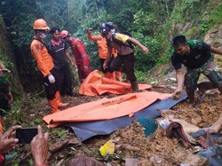 Longsor Terjang Kaki Gunung Sanggabuana Bogor, 2 Orang Tewas