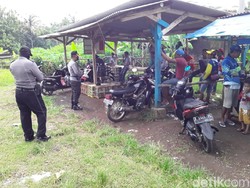 Cegah Corona, Arena Ketangkasan Merpati di Banjar Dibubarkan Polisi