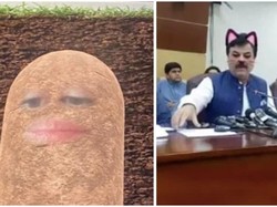 Kocak! Viral Manusia Kentang dan Kucing saat Rapat Online