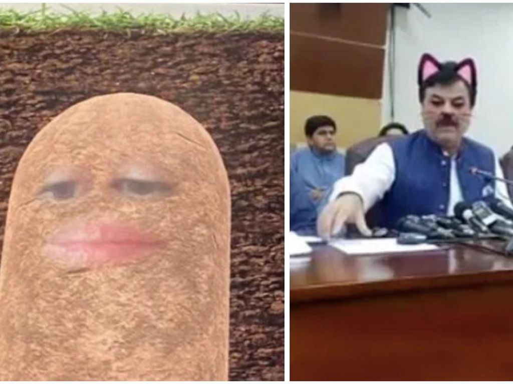 Kocak! Viral Manusia Kentang dan Kucing saat Rapat Online Kocak! Viral Manusia Kentang dan Kucing saat Rapat Online