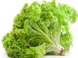 5 Daun Lalapan Ini Tak Hanya Segar Tapi Juga Kaya Khasiat