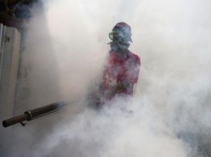 Waspada! 33 Warga Jabar Meninggal Gegara Demam Berdarah