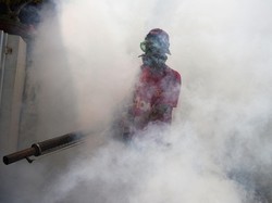 Waspada! 33 Warga Jabar Meninggal Gegara Demam Berdarah