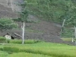 Tertimbun Longsoran Tebing, 3 Hektare Sawah di Cianjur Terancam Gagal Panen