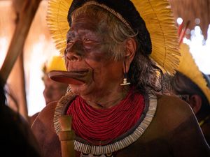 Virus Corona Bisa Musnahkan Masyarakat Adat di Brasil