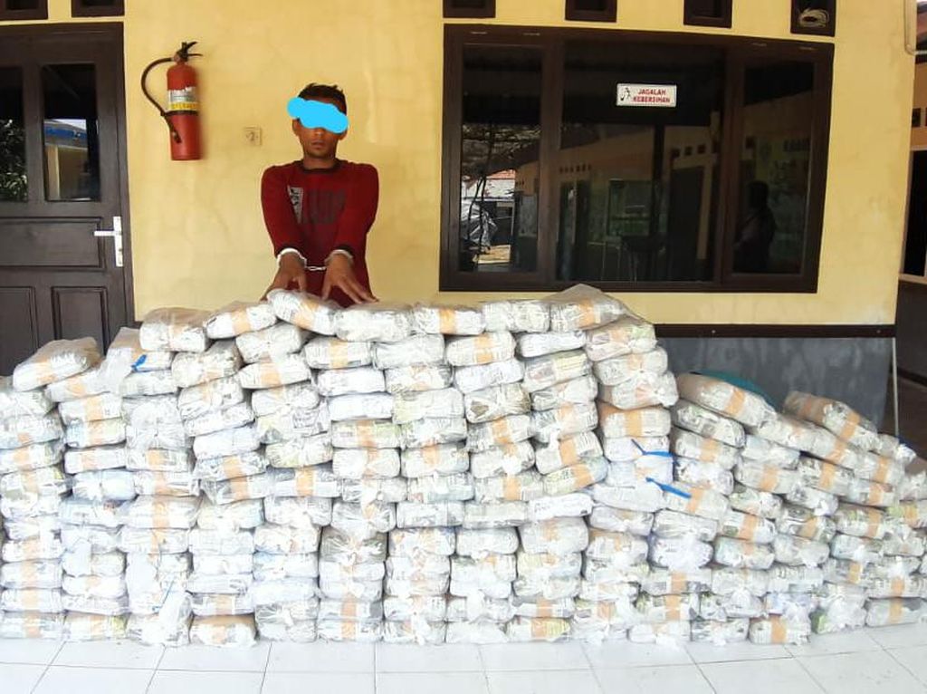 Kurir 240 Bal Ganja Ditangkap Usai Kejar-kejaran dengan Polisi di Aceh Kurir 240 Bal Ganja Ditangkap Usai Kejar-kejaran dengan Polisi di Aceh