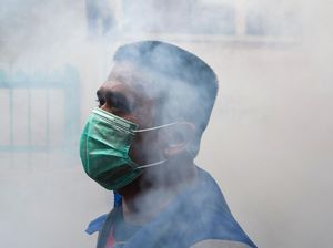 Gejala Virus Corona Vs Demam Berdarah Dengue, Kenali Bedanya