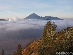 Getaran Gempa M 5,2 di Blitar Terasa hingga Gunung Bromo Getaran Gempa M 5,2 di Blitar Terasa hingga Gunung Bromo
