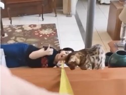 Kocak! Netizen Ini Makan Permen Cokelat Pakai Meteran