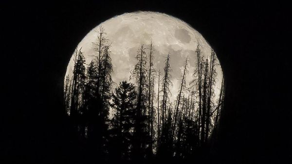 Penampakan Bulan Raksasa dari Berbagai Negara yang Memukau Mata