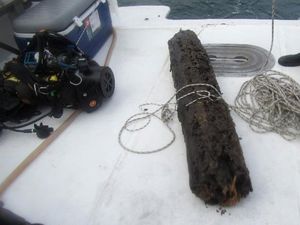 Ilmuwan Temukan Hutan Bawah Laut, Bisa Ciptakan Obat-obatan Baru Ilmuwan Temukan Hutan Bawah Laut, Bisa Ciptakan Obat-obatan Baru