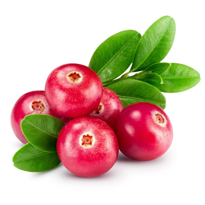 481615534 buah cranberry