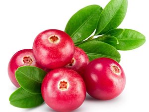 Mengenal Buah Cranberry, Si Kecil yang Kaya Manfaat untuk Kesehatan