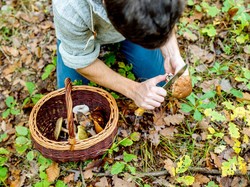 Kecuali Chef, Ini 5 Pilihan Karir Unik di Bidang Makanan