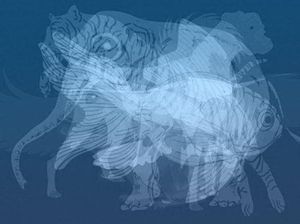 Tes Psikologi: Gambar Harimau atau Anjing yang Pertama Kali Kamu Lihat?