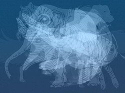 Tes Psikologi: Gambar Harimau atau Anjing yang Pertama Kali Kamu Lihat?