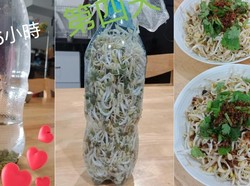 Gabut di Rumah, Wanita Ini Bagikan Cara Tanam Tauge di Botol Minuman