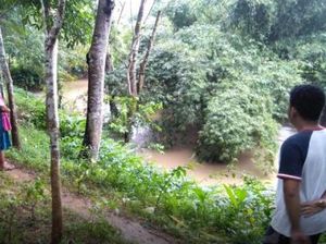 Menyeberang Sungai Sambil Bawa Mesin Padi, Petani di Sulsel Tenggelam