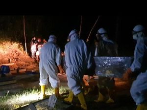 2 PDP Corona di Babel Meninggal, Salah Satunya Anak 8 Tahun