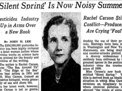 Kemungkinan Tak Terbatas Selama Pandemi