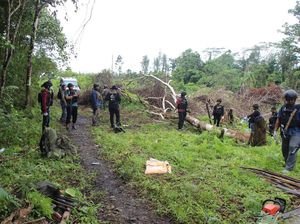 Baku Tembak dengan Aparat di Timika, 2 KKB Tewas-1 Ditangkap Hidup