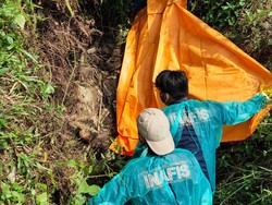 Mayat Pria Tanpa Identitas Ditemukan Membusuk di Serdang Bedagai Sumut