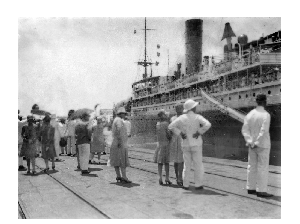 Cara Kolonial Belanda Tangani Buruknya Koordinasi Pusat-Daerah Era Wabah Cara Kolonial Belanda Tangani Buruknya Koordinasi Pusat-Daerah Era Wabah