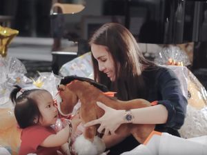 7 Desain Ruang Bermain Anak Momo yang Super Mewah, Ada Carousel & Mandi Bola 7 Desain Ruang Bermain Anak Momo yang Super Mewah, Ada Carousel & Mandi Bola