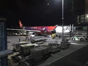 334 WNI Dipulangkan dari Dubai UEA 334 WNI Dipulangkan dari Dubai UEA