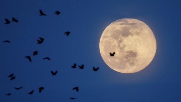 foto supermoon 2020 dari berbagai negara