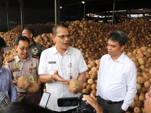 Di Tengah Corona, Ekspor Kelapa Parut Sumut ke China Capai 75 Ton