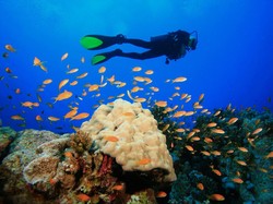 KKP Selesaikan 7 Kasus Kerusakan Laut dengan Klaim Rp 44 M Lebih