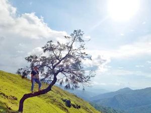 Membasuh Rindu di Timor Tengah Selatan