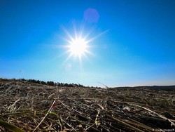 Cuaca Musim Panas Eropa Dapat Perburuk Efek Virus Corona