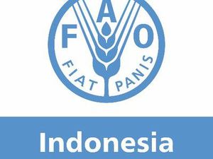 FAO Tegaskan Pihaknya Tidak Berafiliasi dengan WFP
