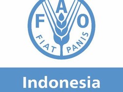 Organisasi Pangan PBB di Indonesia Buka Lowongan Kerja, Daftar Sebelum 14 Agustus!