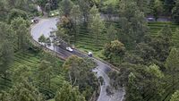 Pemerintah Ingin Mengalihkan RTH Jakarta ke Puncak, Setuju?