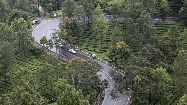 Pemerintah Ingin Mengalihkan RTH Jakarta ke Puncak, Setuju?