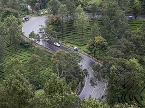 Pemerintah Ingin Mengalihkan RTH Jakarta ke Puncak, Setuju?