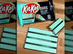 5 Rasa Kit Kat Terenak, Kamu Suka yang Mana? 5 Rasa Kit Kat Terenak, Kamu Suka yang Mana?