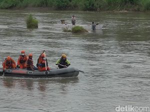 Pejudi Sabung Ayam Lompat ke Sungai Saat Digrebek dan Hilang