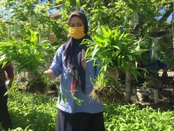 Bupati Lutra Ajak Warga Manfaatkan Aset untuk Tingkatkan Kesejahteraan