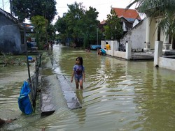 67 Desa di 12 Kecamatan Lamongan Terendam Banjir