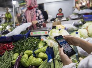 Belanja Daging hingga Bumbu Tersedia di 5 Toko Online Ini