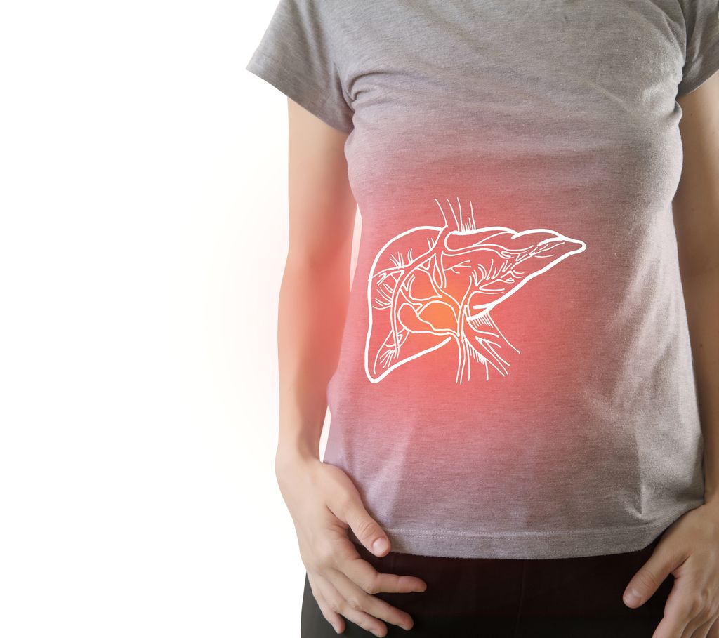 ilustrasi liver