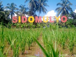 Desa di Purworejo Sediakan Lahan Pemakaman Jasad Pasien Corona yang Ditolak