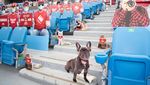Penonton Kardus Meriahkan Stadion