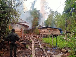 BKSDA Bakar Gubuk Diduga Milik Pelaku Illegal Logging di Hutan Riau